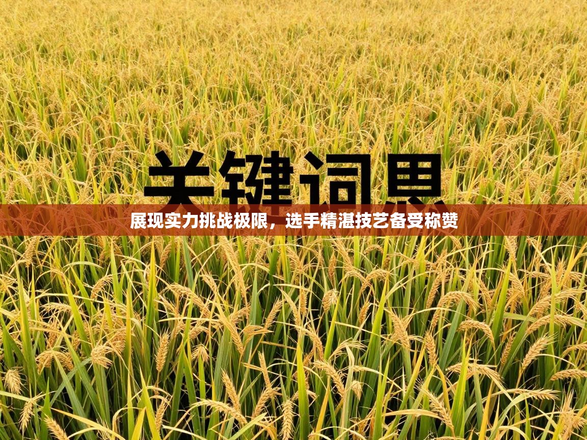 展现实力挑战极限，选手精湛技艺备受称赞  第1张